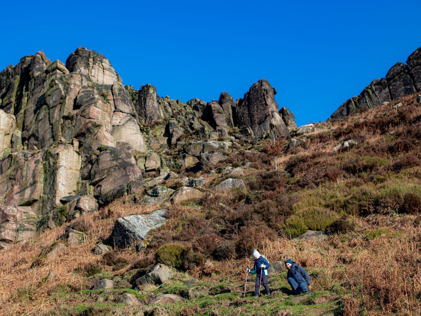 Two people with walking poles picking a route down a gritstone hillside